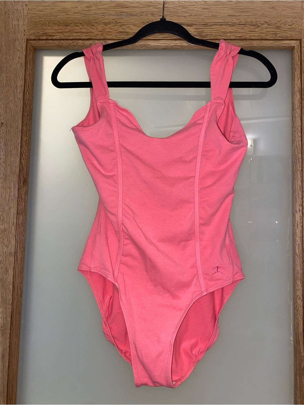 Danskin Pink Leotard (L)